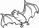 Coloring Teeth Sharp Bats Bat Pages Drawing Halloween Animals Colorluna Clipartmag Vampire Choose Board sketch template
