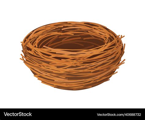 bird nest empty nest  branches isolated vector image