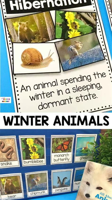 winter  activities artofit