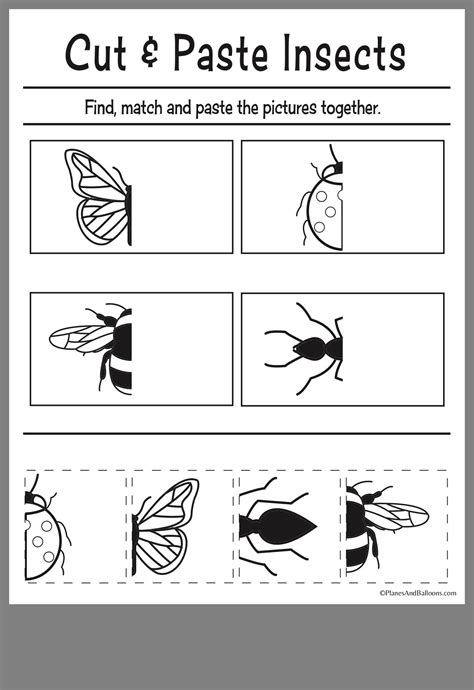 insect printables  kindergarten  printable templates