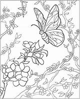 Coloring Pages Butterfly Book Butterflies Dover Publications Printable Flowers Kleurplaten Flower Adult Colouring Sheets Kleurplaat Adults Books Faith Homeless Children sketch template