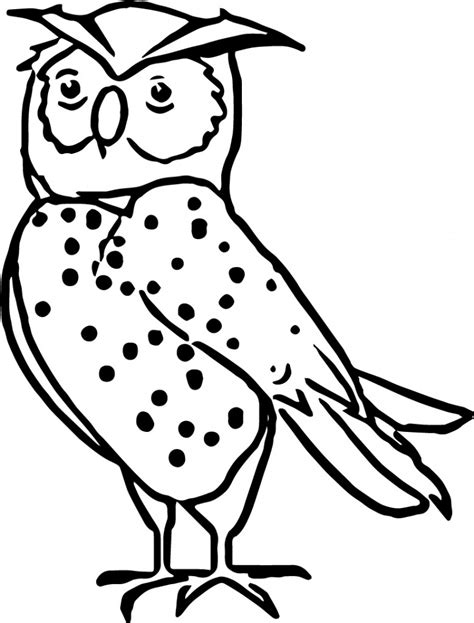 nocturnal animals coloring pages wecoloringpagecom