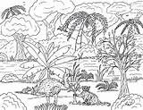 Daintree Rainforest Coloring Pages Forest Rain Robin Great sketch template