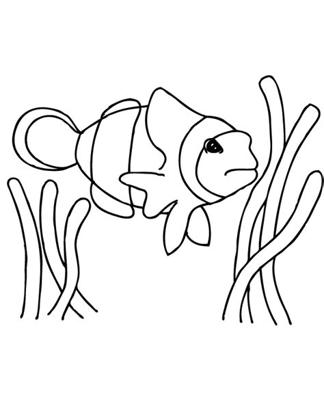 clown fish coloring page coloring home