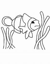 Clownfish Wikiclipart sketch template
