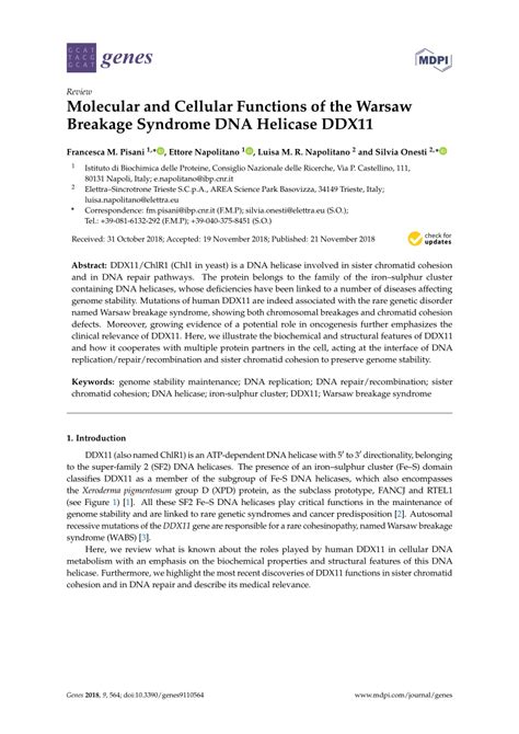 molecular  cellular functions   warsaw breakage syndrome dna helicase ddx