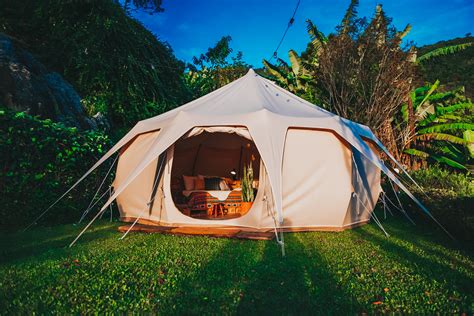 camping tent  grass lawn  stock photo