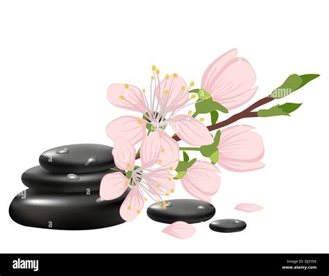 spa background  cherry blossoms stock photo alamy