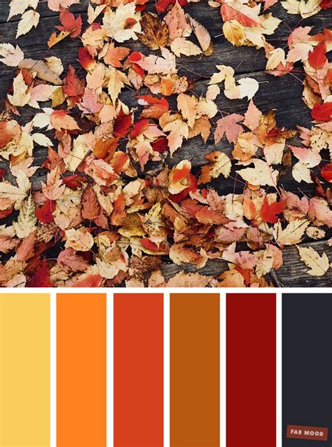 pretty autumn color schemes shades  autumn leaves