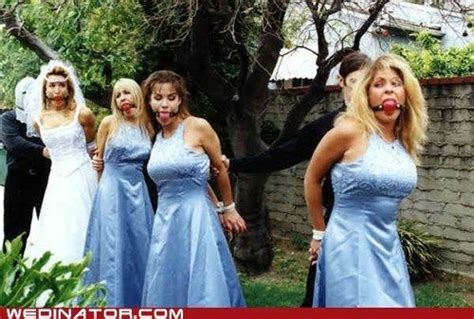 1000 images about funny ball gag pics on pinterest hello kitty pump and brides