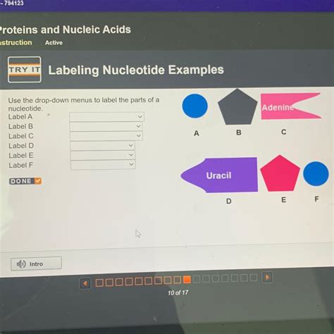 drop  menus  label  parts   nucleotide label  label  label  label