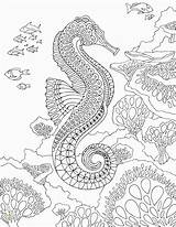 Coloring Sea Seahorse Pages Under Adult Printable Zentangle Therapy Mandalas Pdf Ocean Horse Adults Detailed Mandala Creatures Para Dibujos Print sketch template