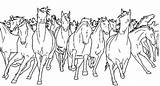 Chevaux Colorare Disegni Ausmalen Pferde Malvorlagen Ausmalbilder Wildpferde Cavalli Paarden Sauvages Kolorowanki Cowboy Cavallo Reiter Anti Coloriages Cheval Volwassenen Erwachsene sketch template