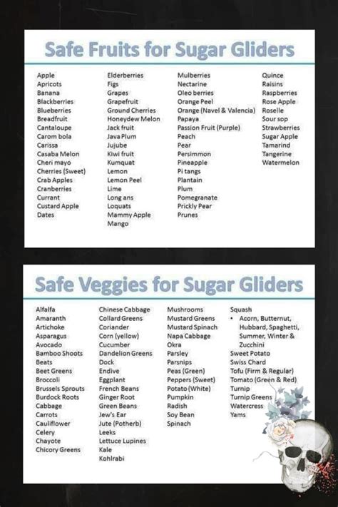 complete list  safe fruits  vegetables   sugar gliders sugarglider