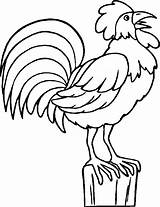 Gallo Coq Coloriage Gallito Stampare Uccelli Rooster Fattoria Dessin Valiente Coloriages Birthdayprintable Colorier Clicca Megghy Colora Mascot Coloringsky Gifgratis sketch template