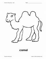 Camel Preschool Coloring Worksheet Pre sketch template