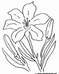 painting flowers ideas flower painting easter lily flowers