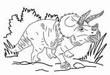 Coloring Triceratops Dinosaur Pages Horned Three Kids Adults sketch template