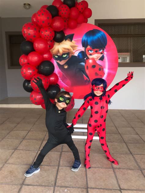 miraculous ladybug party   miraculous ladybug party ladybug party decorations ladybug