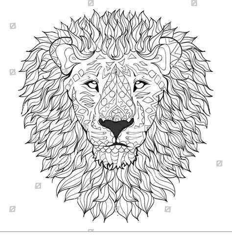 lion head lions adult coloring pages lion head  lions adult coloring