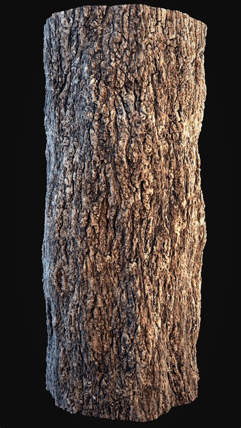 photo bark texture bark cracked surface   jooinn