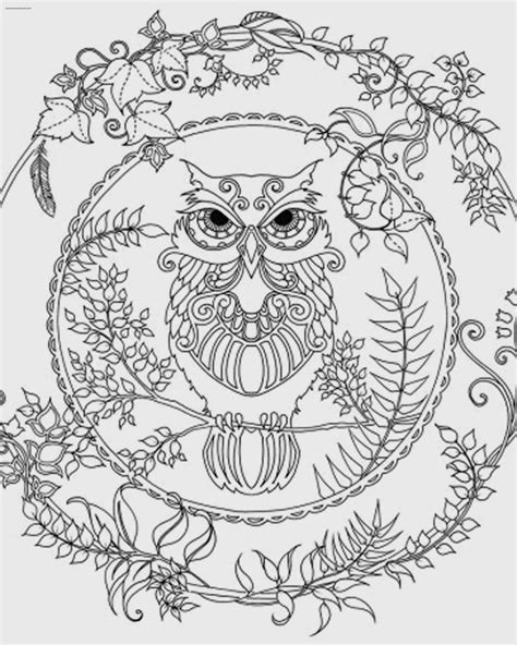 owl coloring pages  adults owl colorings printable coloring pages