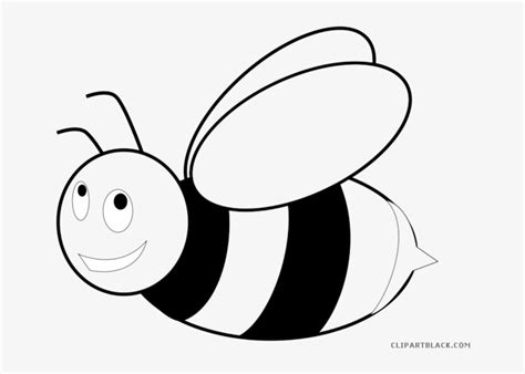 honey bee clipart coloring page  bees  transparent png