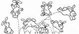 Pages Hopping Bunnies Everywhere Rabbit sketch template