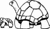 Coloring Turtle Baby Tortoise Mother Wecoloringpage sketch template