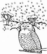 Winter Coloring Animals Pages Owl Animal Printable Birds Snowy Snow Color Destiny Sledding Getcolorings Cartoon Popular Getdrawings Library Clipart sketch template