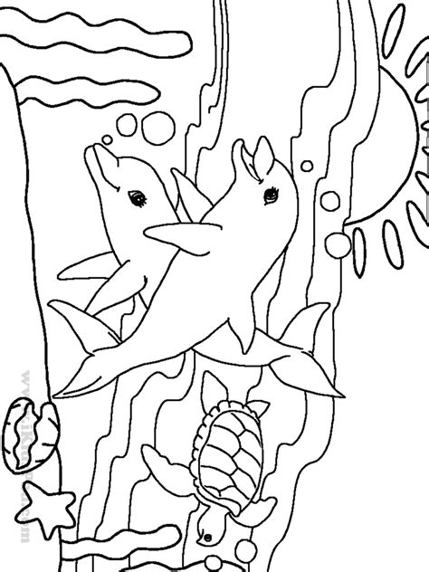 beautiful sea animal coloring pages   coloring pages  adults