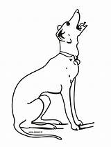 Dog Coloring Pages Barking Drawing Bark Dogs Kids Printable Template Getdrawings sketch template