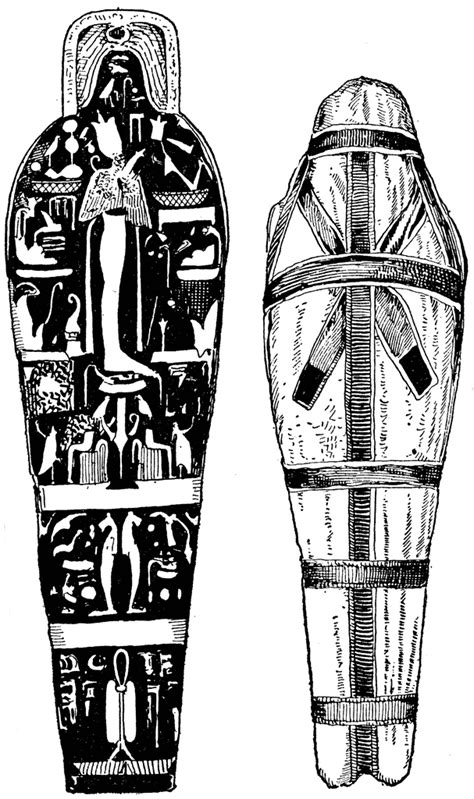 mummy  cover  coffin clipart