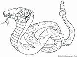 Coloring Pages Snake Ninjago Getcolorings Snakes sketch template
