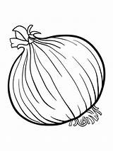 Onion Coloring Pages Colouring Vegetables Fruits Drawing Spinach Color Kids Soup Catfish Printable Vegetable Clipart Stone Book Getdrawings Getcolorings Recommended sketch template