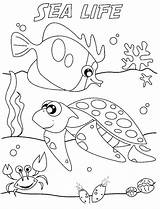 Coloring Pages Sea Life Ocean Seascape Marine Preschool Drawing Adults Getcolorings Printable Getdrawings Animal Colorings sketch template