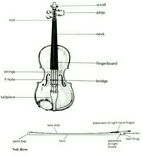 parts   violin romulo joaozinho