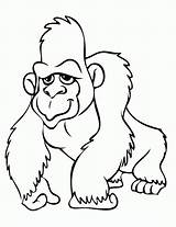 Gorilla Orangutan Gorila Gorillaz Gorilas Colorir Gorillas Coloringbay Template Clipartmag Godzilla Letzte Seite sketch template