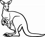 Kangaroo Canguro Cangurus Wecoloringpage Kangaroos Canguru Dibujosonline Kangroo Macropus sketch template