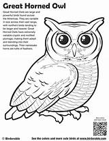 Owl Coloring Pages Great Horned Printable Color Birdorable Getcolorings Cartoon Sheets Authentic Coloringbay Print Bird sketch template