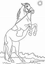 Pferde Ausmalbilder Cool2bkids sketch template