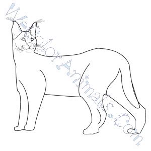 caracal coloring pages