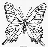 Butterfly Coloring Pages Wings Printable Kids Drawing Template Color Cool2bkids Getcolorings Print Sketch sketch template