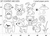 Woodland Coloring Pages Animals Forest Color Getcolorings Getdrawings Col Colorings sketch template