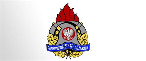 Zatwierdzony Program Szkolenia Podstawowego W Zawodzie Strażak