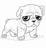 French Bulldog Coloring Pages Bulldogs Puppy Print sketch template