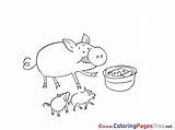 Eating Coloring Pigs Pages Sheet Title sketch template