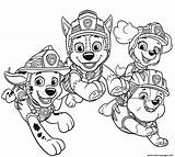 Patrouille Patrol Dino Pat Paw Pups Patrulha Rubble Zuma Imprimé sketch template