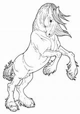 Coloring Horse Pages Drawings Colouring Adult Sheets Breeds sketch template