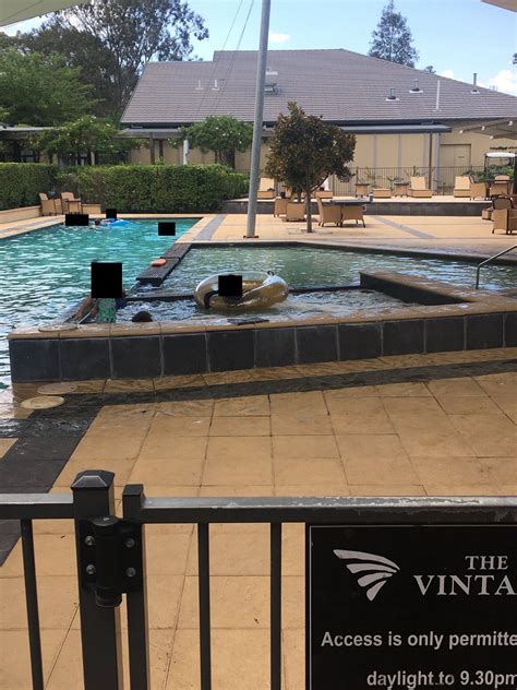 chateau elan   vintage hunter valley pool pictures reviews